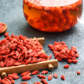 AD secar bagas de goji vermelhas frutas de wolfberries